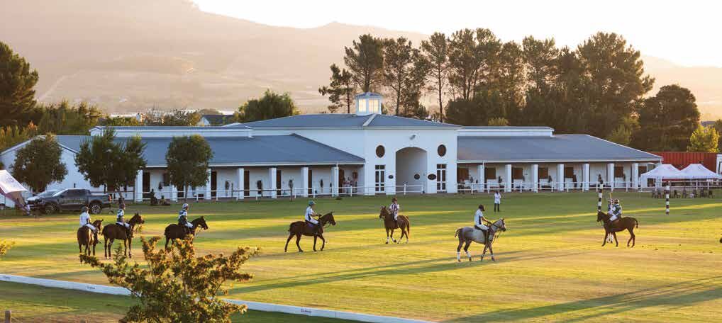 Polo on the estate fields