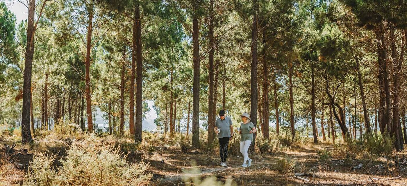 Residents walking on a trail through the pine forest